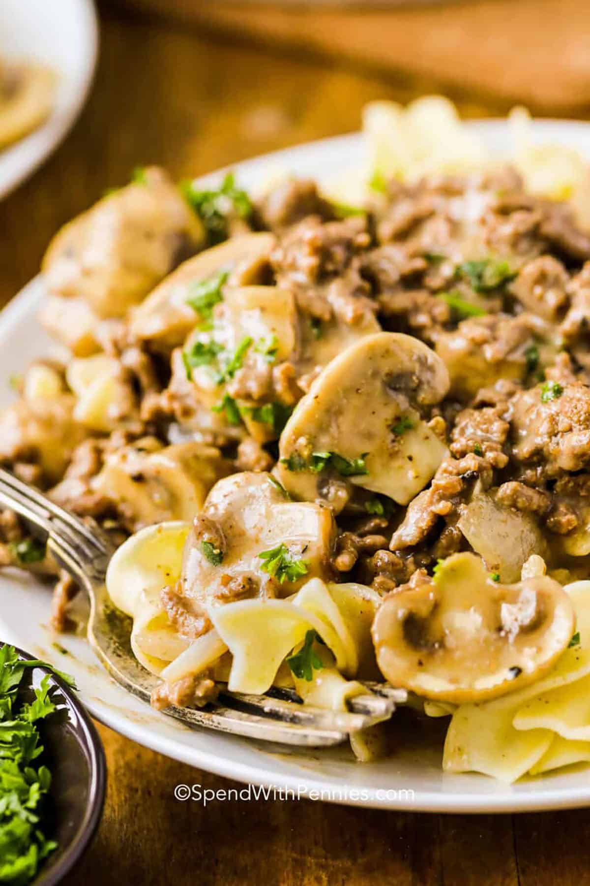 Easy Ground Beef Stroganoff: A Budget-Friendly Family Meal